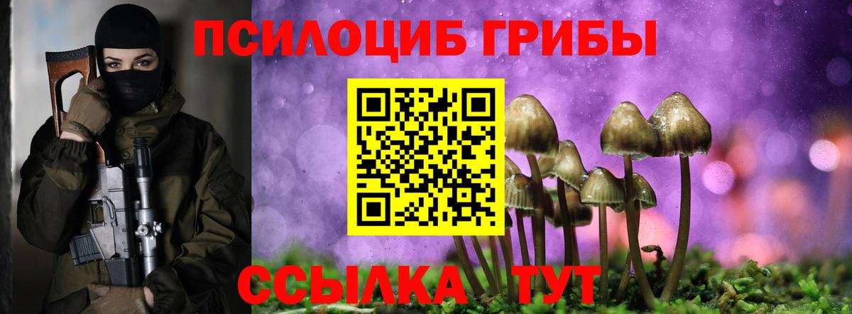 Ярцево  Псилоцибиновые грибы Psilocybe  Галлюциногенные грибы прущие грибы  Вход с VPN 